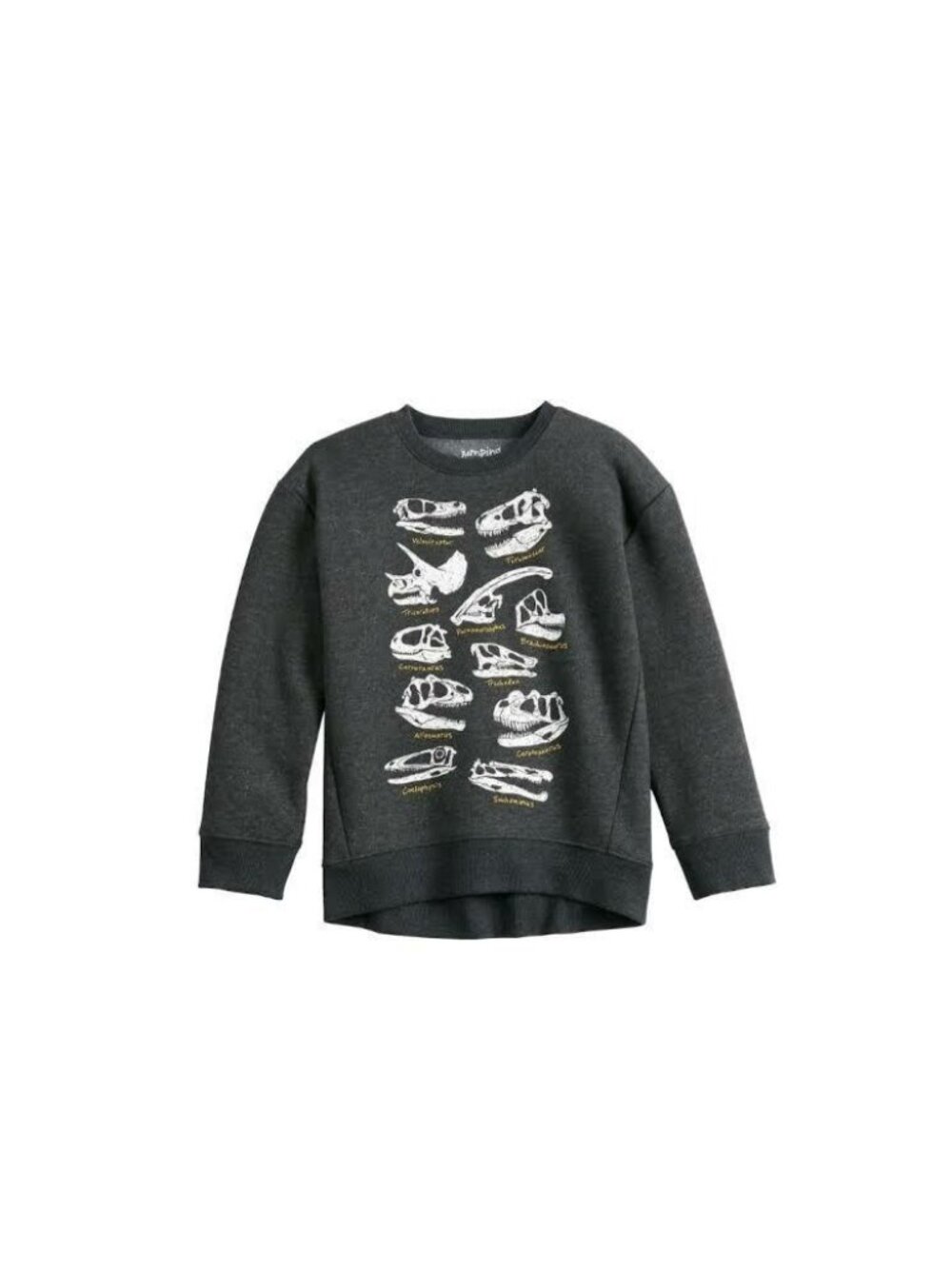 Boy's Jumping Beans Dinosaur Skulls Fleece Crew Sweatshirt Size 4T